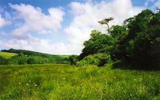 'Accommodation in Tregony' - Holiday Ideas