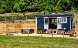 Sweet Chestnut - Luxury shepherds hut in Devon with a private hot tub