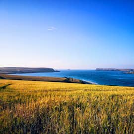 Camel Estuary, Padstow Camel Estuary, Padstow