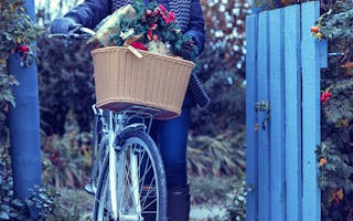 'Special Offer Christmas Cottage Holidays Argyll and Bute ' - Holiday Ideas