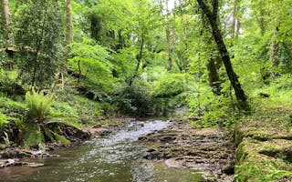 'Places To Stay In Waterrow, Somerset' - Holiday Ideas