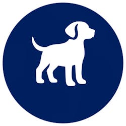 Pets