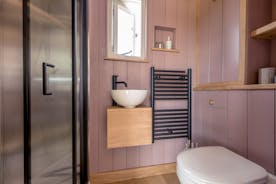 Sweet Chestnut - Contemporary style in the shower room too