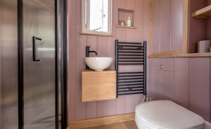 Sweet Chestnut - Contemporary style in the shower room too