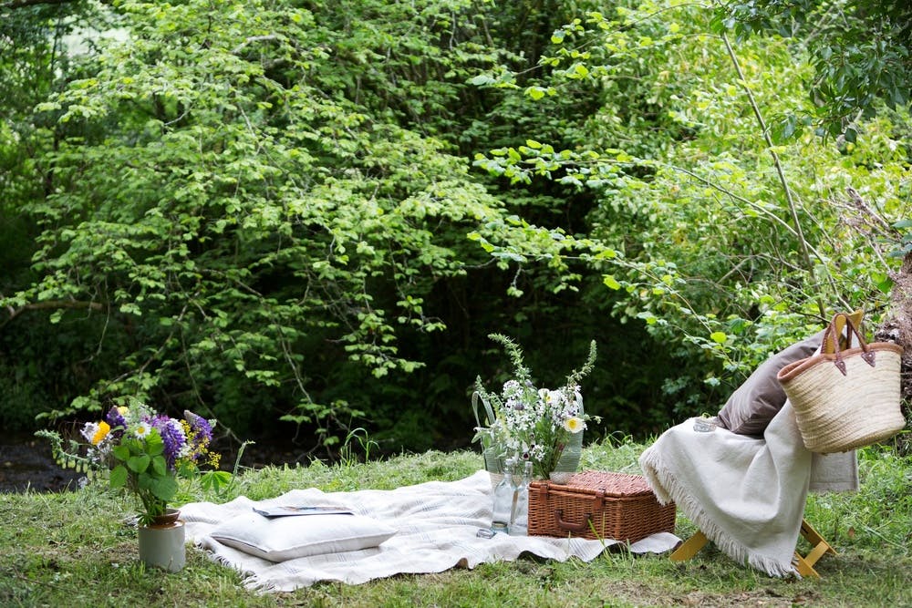 Picnic lunches at Stonehayes Farm