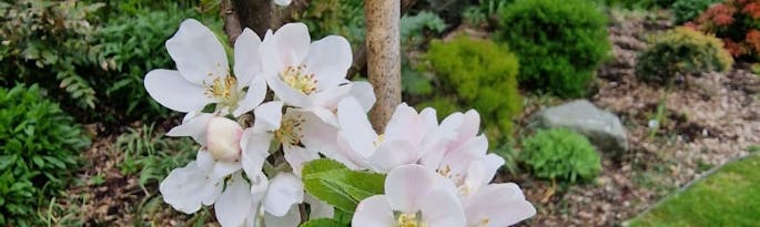 Spring is springing and what a joy it is...