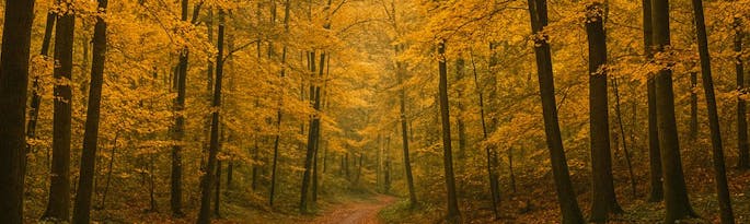 Autumn Weekends in the Wye Valley