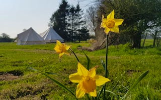 'Eco friendly glamping near Birmingham' - Holiday Ideas