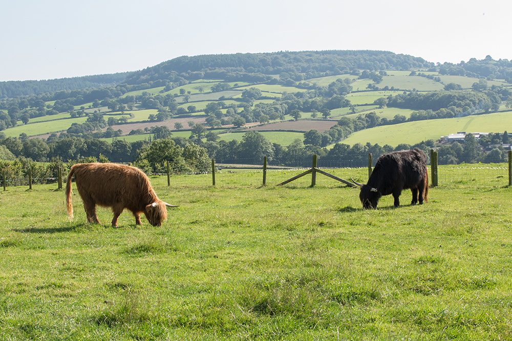 Grand Designs Blackdown Hills Devon Snake House Kevin Mccloud Mccloud Grand Designs