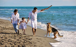 'Dog Friendly' - Holiday Ideas