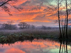 Sunrise over Cowground's pond