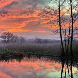 Sunrise over Cowground's pond Sunrise over Cowground's pond