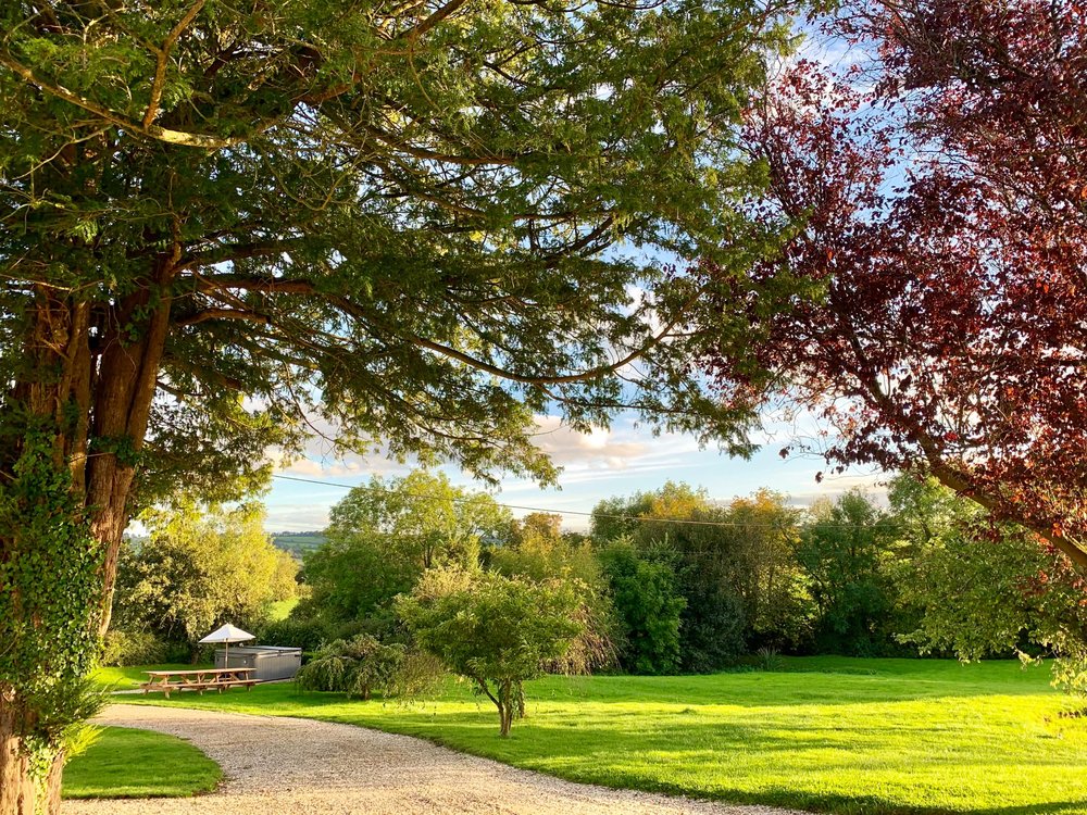Sheltered garden at Stonehayes