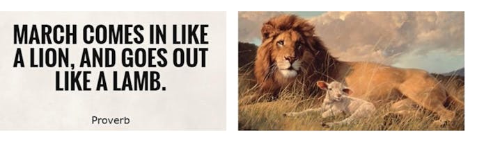 "In like a lion out like a lamb"