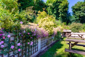 Pretty rose covered wall by the picnic tables at River Wye Lodge Self catering accommodation Wye Valley www.bhhl.co.uk