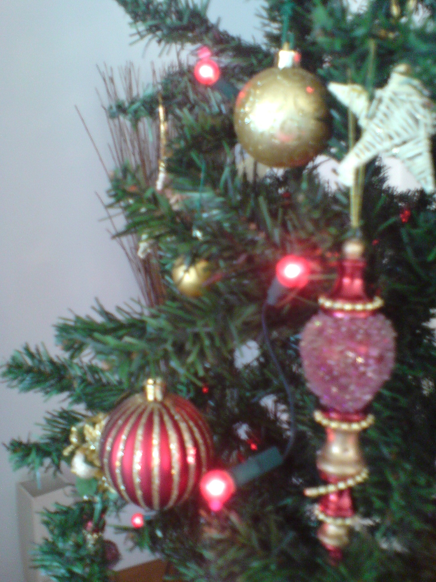 'Luxurious holiday home for the festive season' - Holiday Ideas