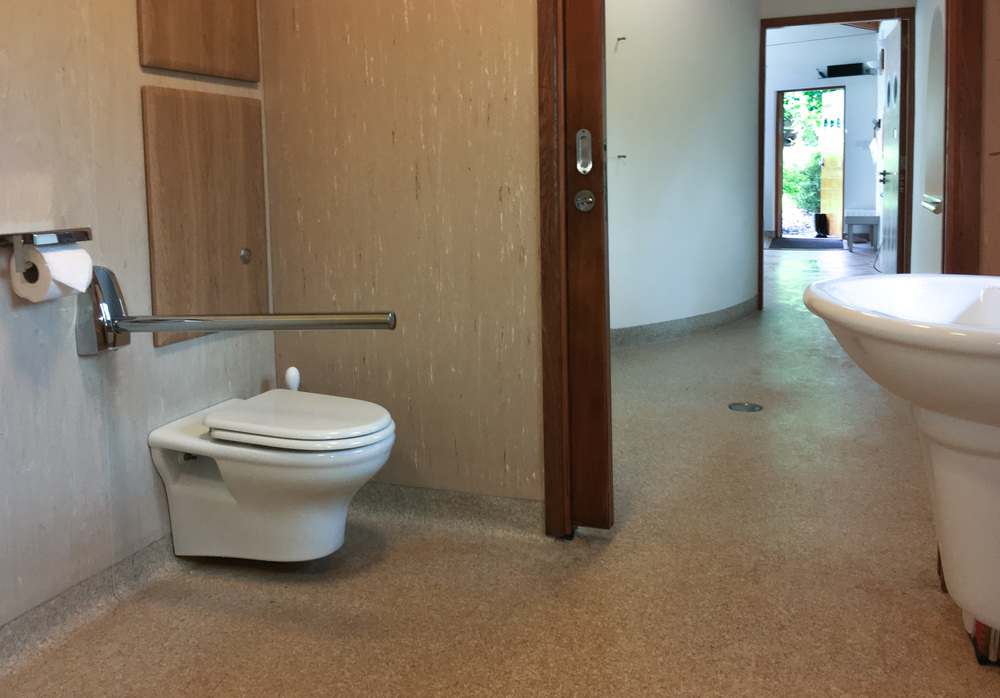 Toilet with drop down grab rail