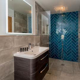 Bathroom 4 - Hedgehog  Bathroom 4 - Hedgehog