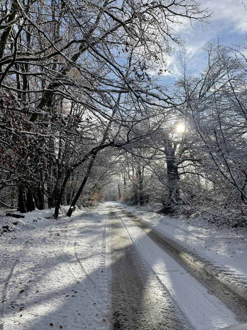 Snow covered lane in Devon